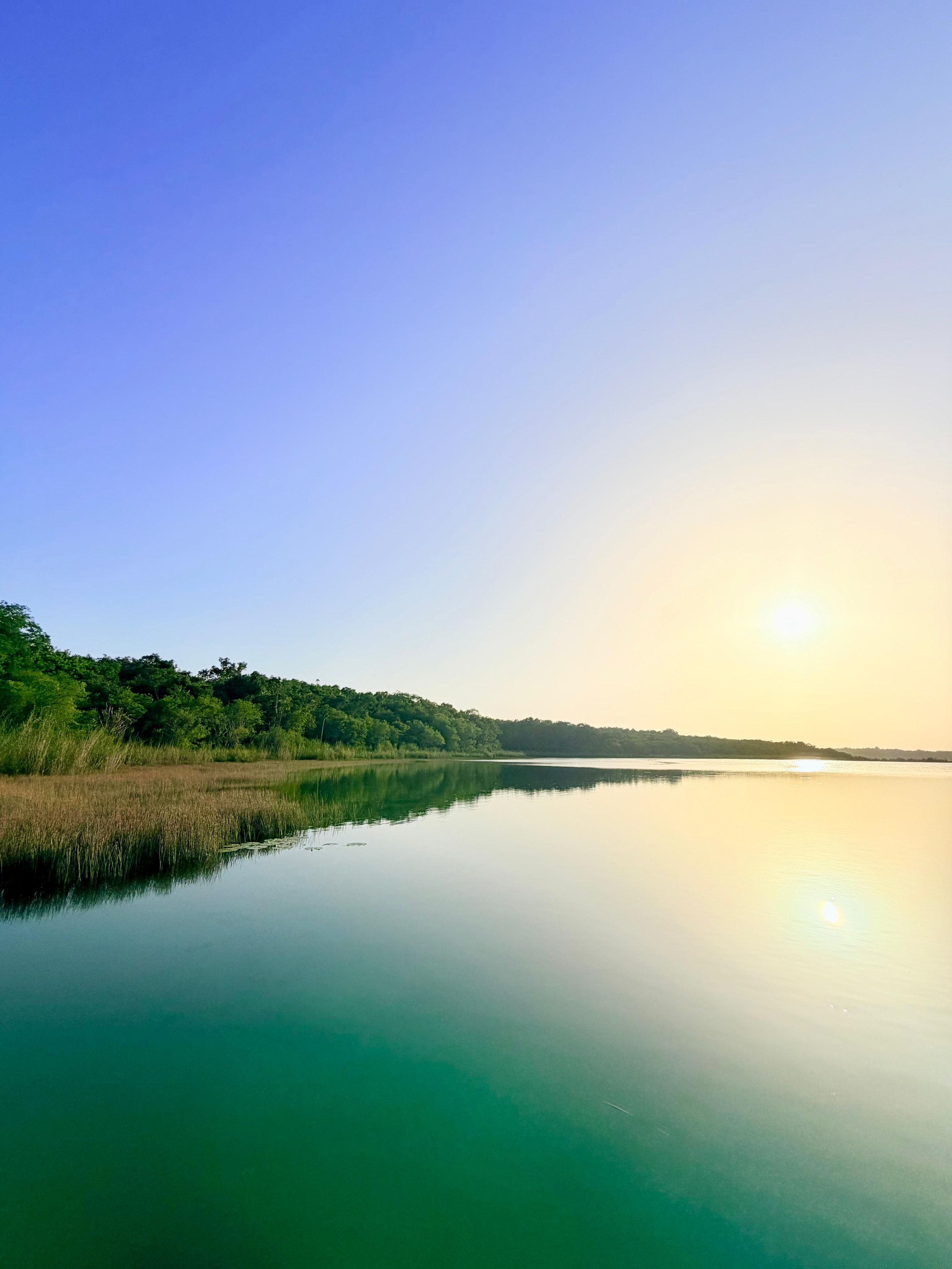 Punta Laguna